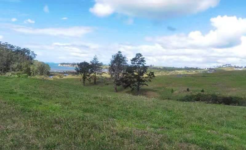  at 18 Taha Puke Road, Okura Bush, Silverdale