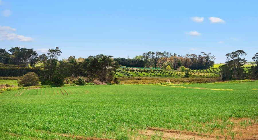  at Lot 3/230 Wright Road, Waiau Pa, Franklin, Auckland
