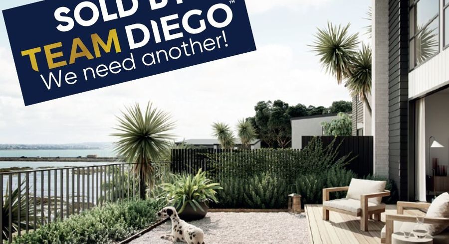  at 102Alford Street, Waterview, Auckland Region