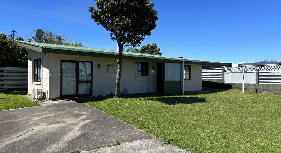  at 165 Mitchell Street, Brooklyn, Wellington, Wellington