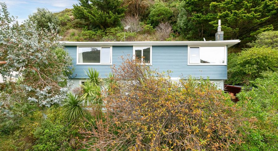  at 161B Happy Valley Road, Owhiro Bay, Wellington, Wellington