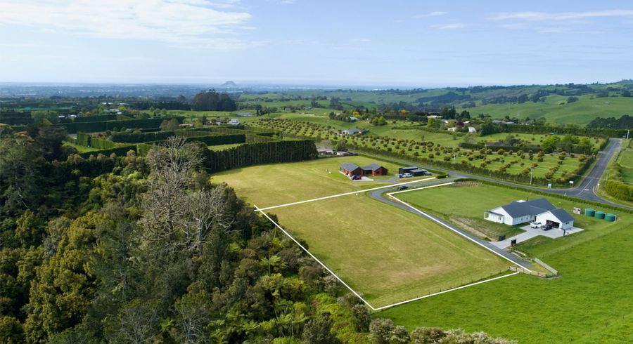  at 1048C Oropi Road, Oropi, Tauranga, Bay Of Plenty