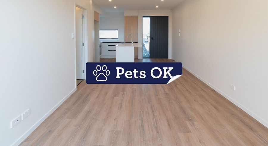  at 20 Clay Works Lane, New Lynn, Waitakere City, Auckland