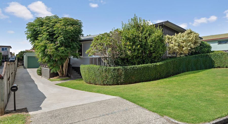  at 44 Williams Street, Te Awamutu, Te Awamutu