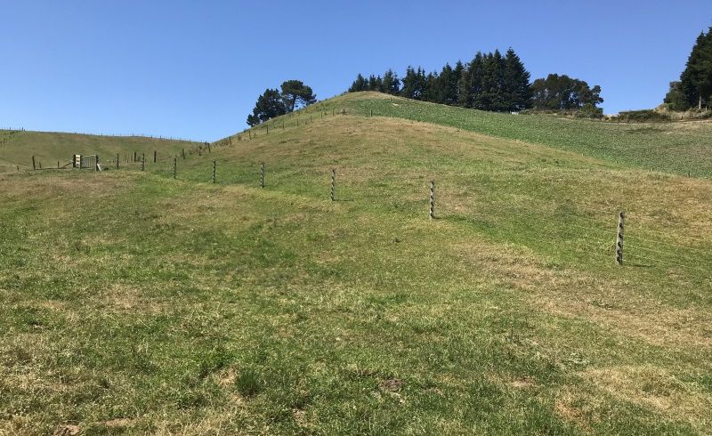  at 343 Oruanui Road, Wairakei, Taupo