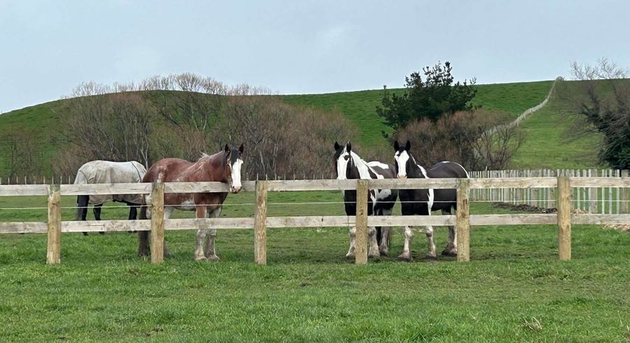  at 19 Black Road, Ashley Clinton, Takapau