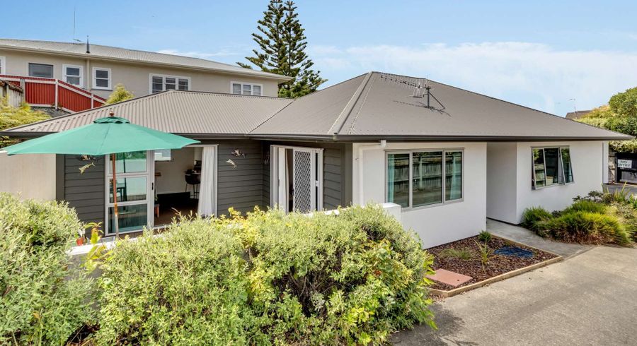  at 604A Ferguson Street, Terrace End, Palmerston North