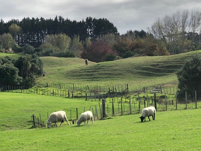  at Lot 2 DP480579 South Head Road, South Head, Rodney, Auckland
