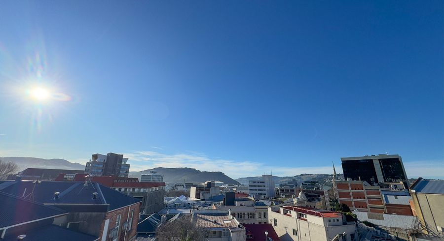  at 36 Tennyson Street, North Dunedin, Dunedin, Otago