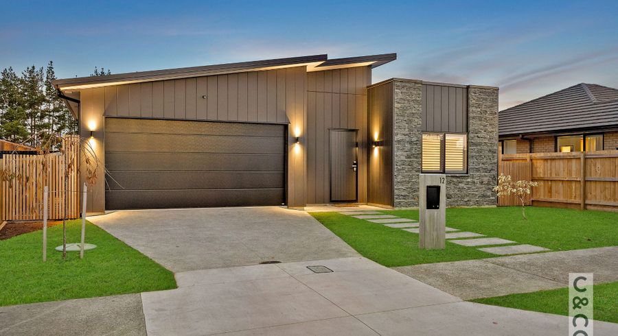  at 12 Paihere Street, Huapai, Rodney, Auckland