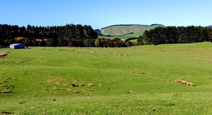  at 98 Millstream Road, Dannevirke, Tararua, Manawatu / Whanganui