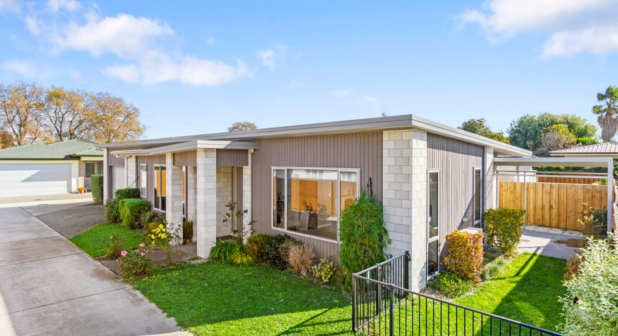  at 50D Sixteenth Avenue, Tauranga South, Tauranga