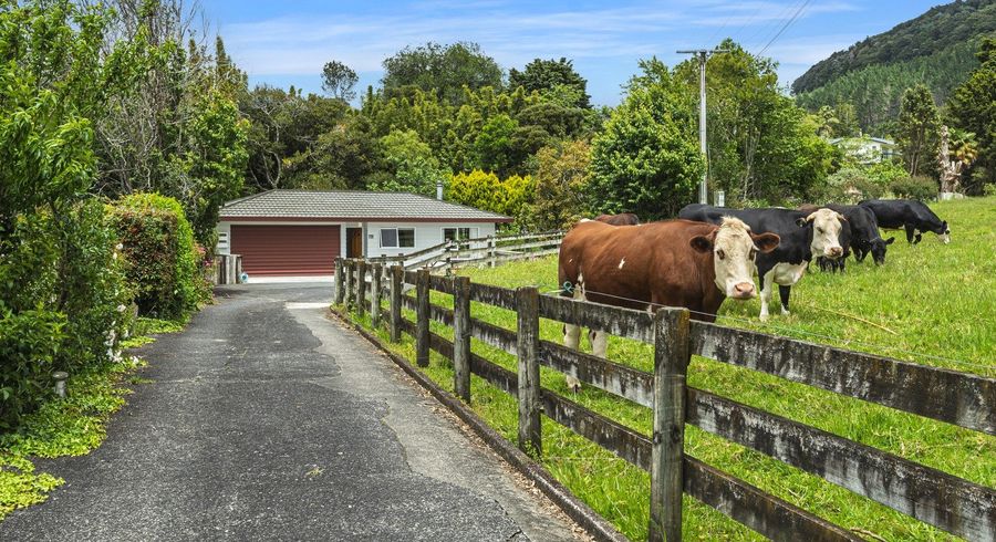  at 20A Tuatara Drive, Kamo, Whangarei