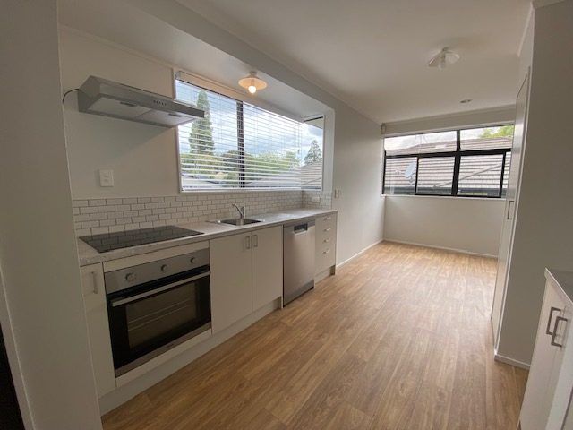  at 20 Kowhai Street, Hamilton Lake, Hamilton, Waikato