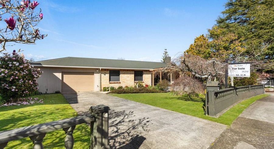  at 4 Osborne Avenue, Morrinsville, Morrinsville