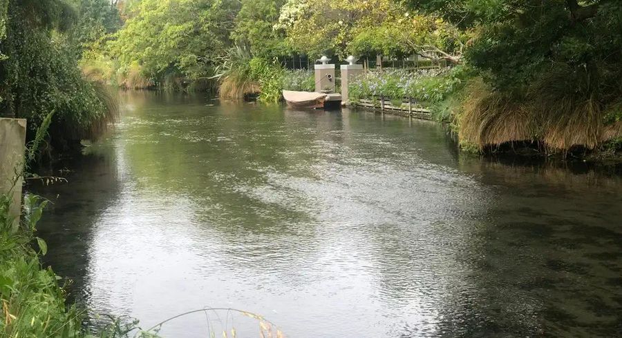  at 8 Clifford Avenue, Fendalton, Christchurch City, Canterbury