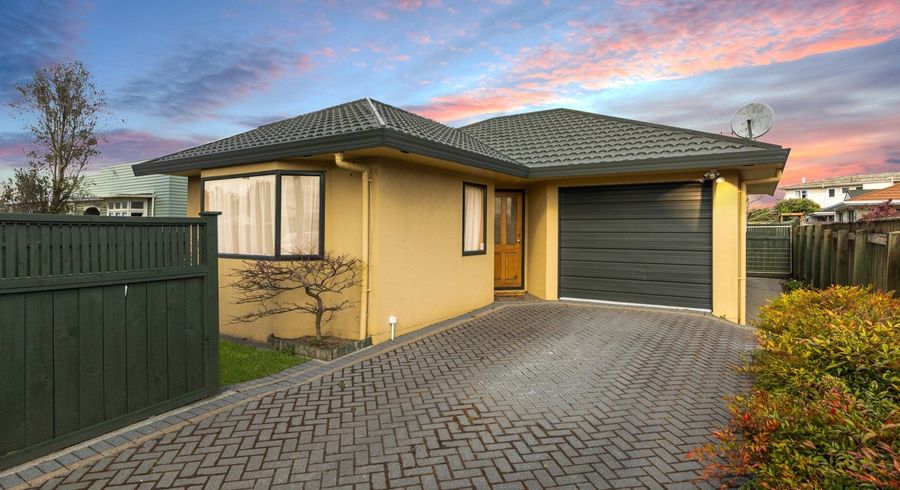  at 284 College Street, West End, Palmerston North