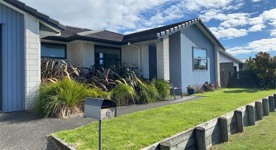  at 12 Waghorn Street, Pyes Pa, Tauranga, Bay Of Plenty