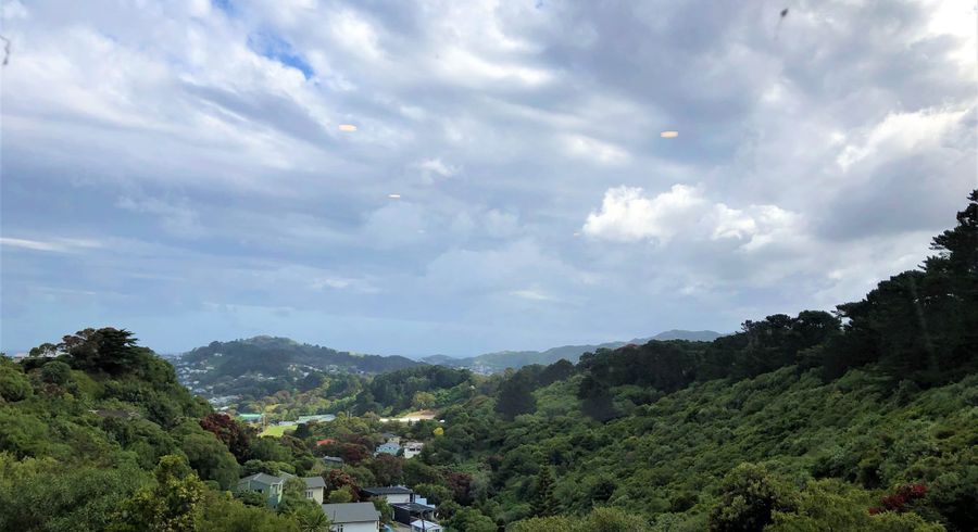  at 56 Hapua St, Hataitai, Wellington, Wellington