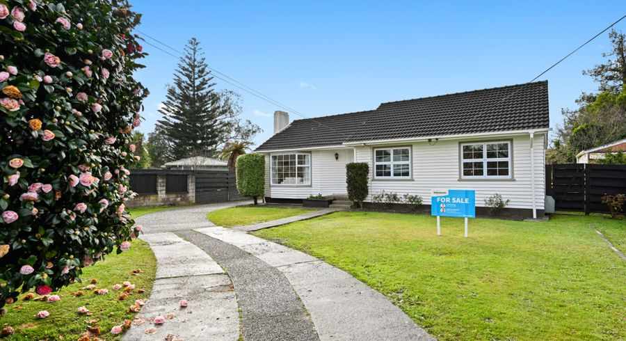  at 12 Eucalyptus Place, Chartwell, Hamilton