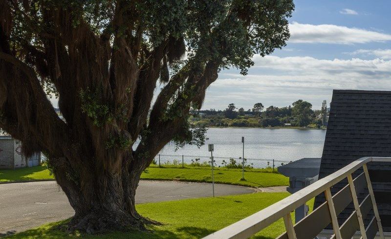  at 4/10 Second Ave, City Centre, Tauranga, Bay Of Plenty