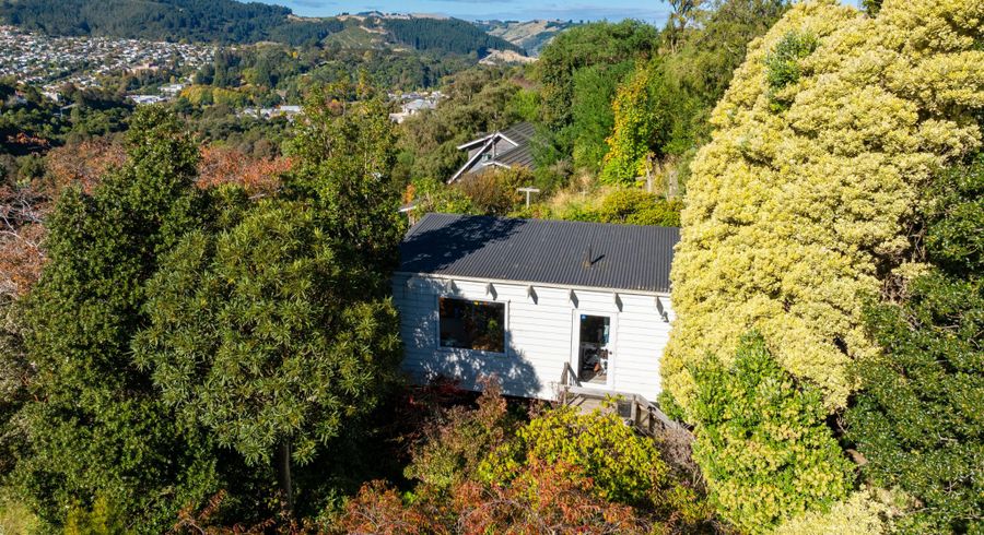  at 59 Braeview Crescent, Maori Hill, Dunedin, Otago