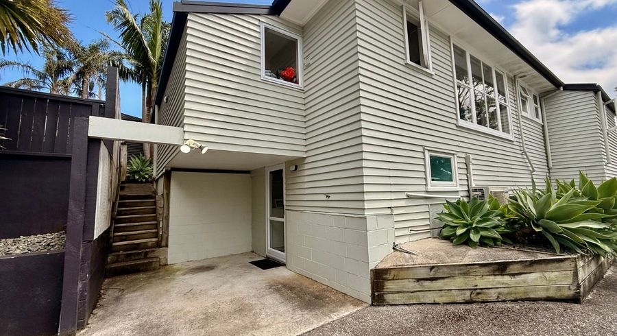  at 19 Massey Avenue, Greenlane, Auckland City, Auckland