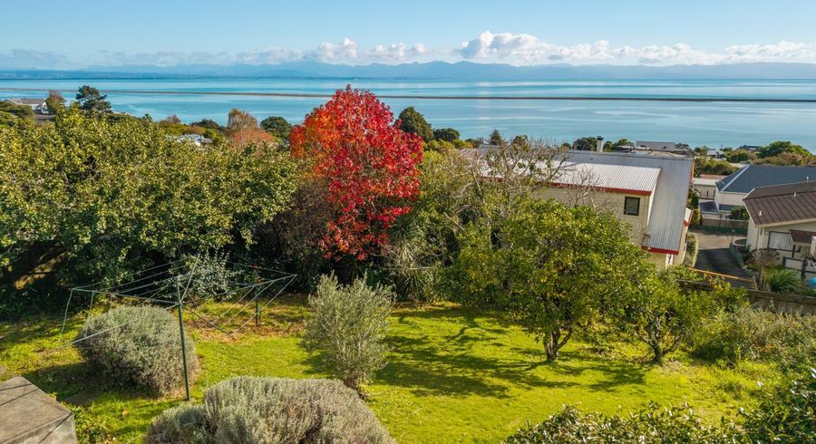  at 17 Jackson Street, Marybank, Nelson, Nelson / Tasman