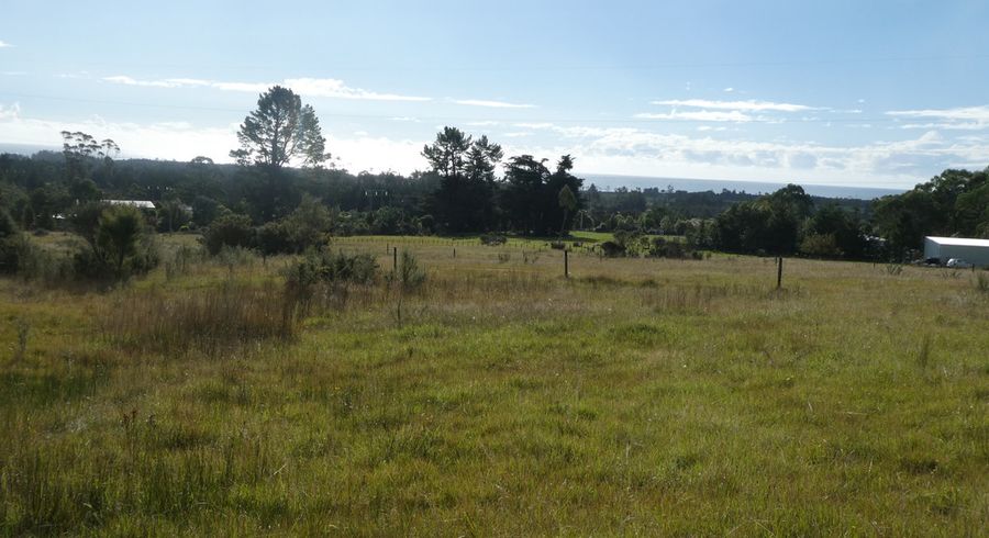  at 0 Powerhouse Rd, Denniston, Westport