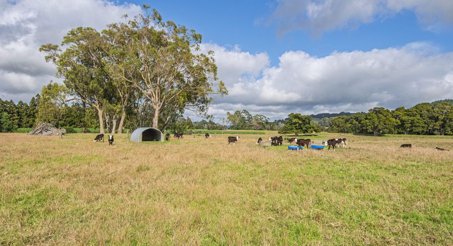  at 85-87 Old North Road, Whakapara, Whangarei, Northland