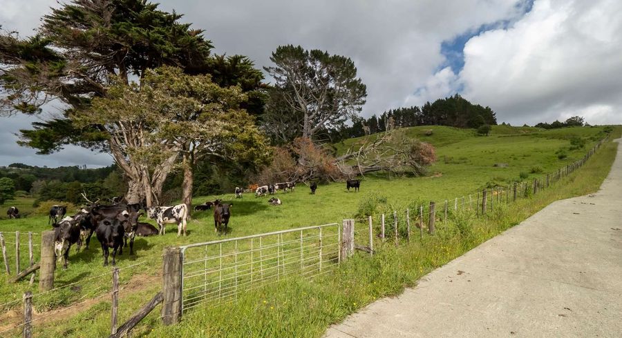  at 450 Komokoriki Hill Road, Makarau, Rodney, Auckland
