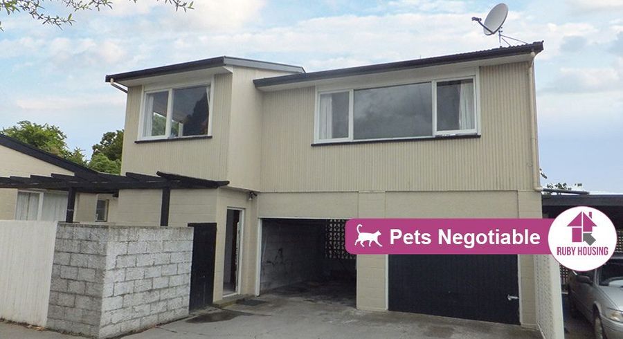  at 3/23 Frederick Street, Waltham, Christchurch City, Canterbury