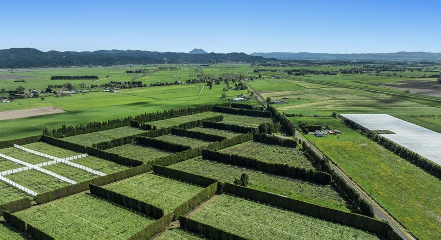  at 37 Selwyn Road, Poroporo, Whakatane, Bay Of Plenty