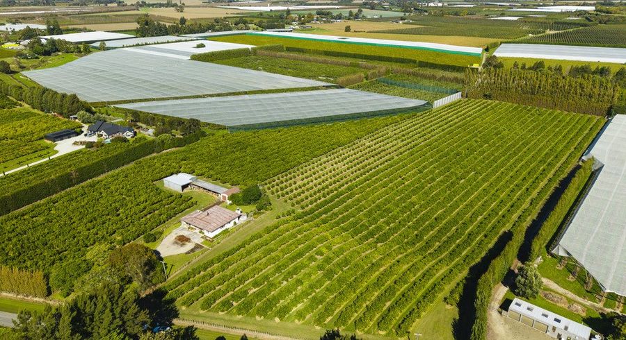  at 75 Brown Road, Ormond, Gisborne, Gisborne