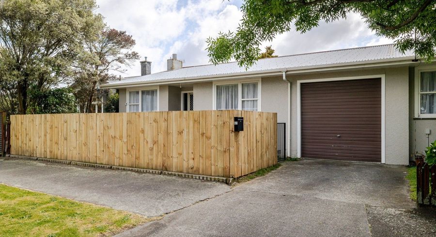  at 61 Bryant Street, Takaro, Palmerston North, Manawatu / Whanganui