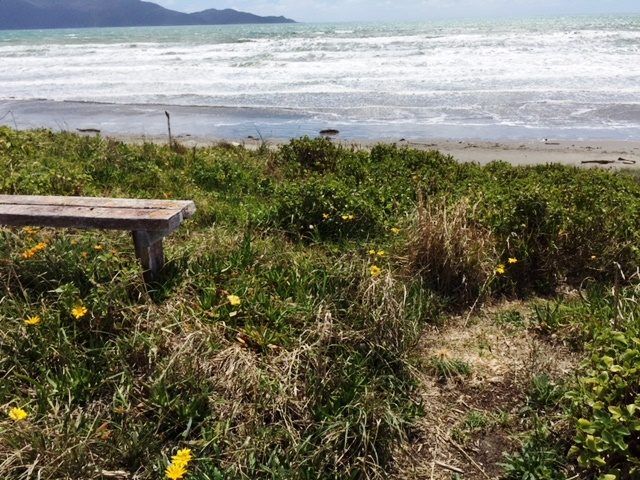  at 131 Tutere Street, Waikanae Beach, Kapiti Coast, Wellington