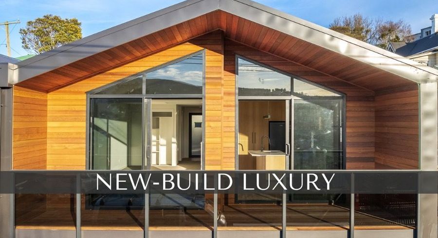  at 45B Ann Street, Roslyn, Dunedin, Otago