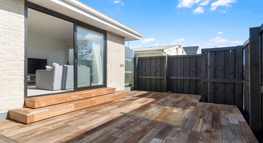  at 1/203 Springfield Road, St Albans, Christchurch
