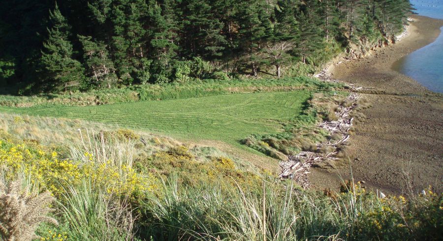  at 815 Manaroa Road, Marlborough Sounds, Marlborough, Marlborough