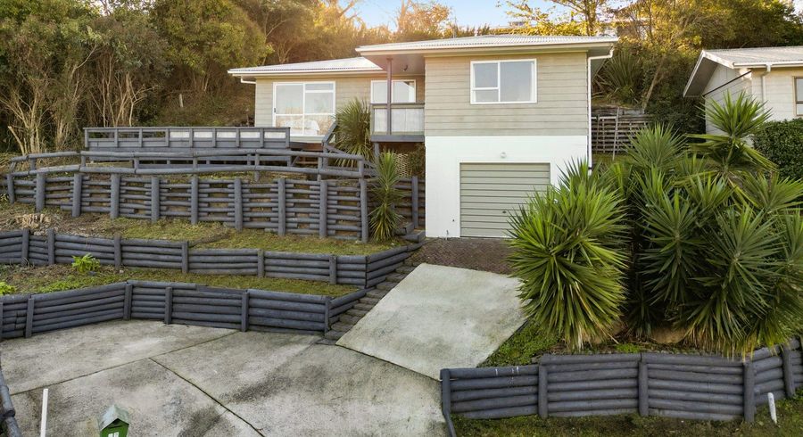  at 17 Pygmalion Place, Dinsdale, Hamilton, Waikato