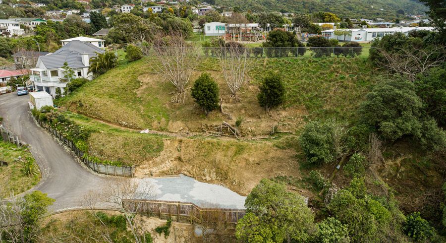  at 101 Redwood Avenue, Tawa, Wellington