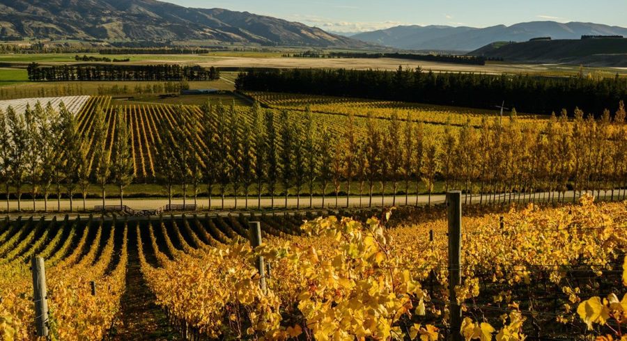  at 198 / 297 Loop Road, Cromwell, Central Otago, Otago