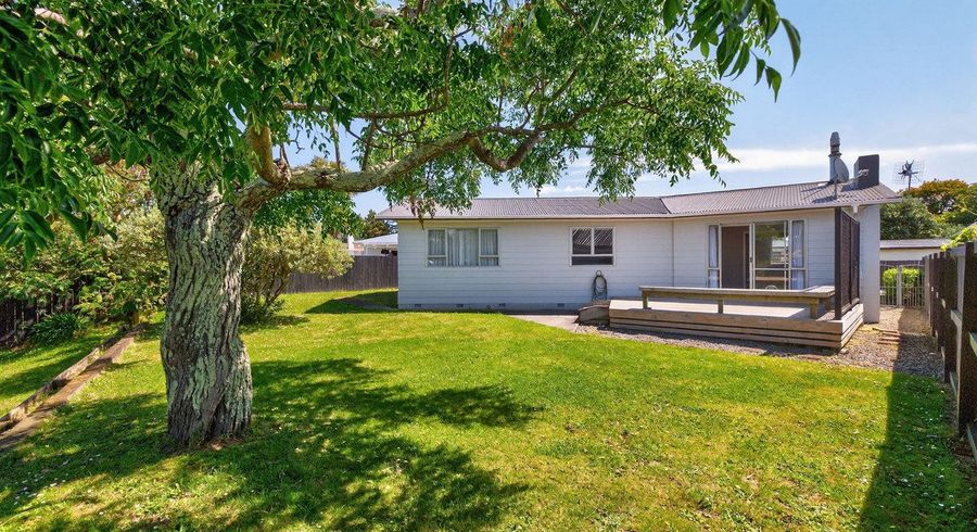  at 33 Leicester Street, Terrace End, Palmerston North, Manawatu / Whanganui