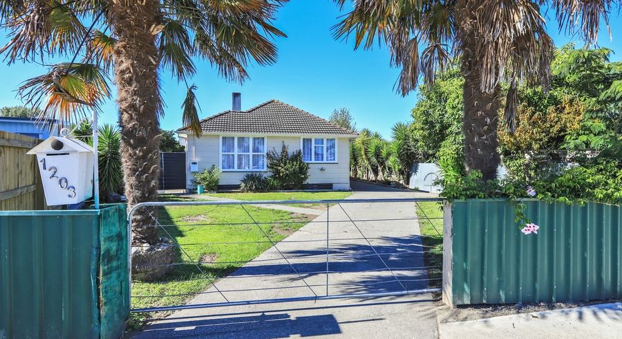  at 1203 Beatty Place, Mayfair, Hastings, Hawke's Bay