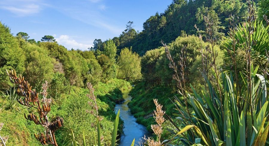  at 91B Gasson Lane, Pyes Pa, Tauranga, Bay Of Plenty