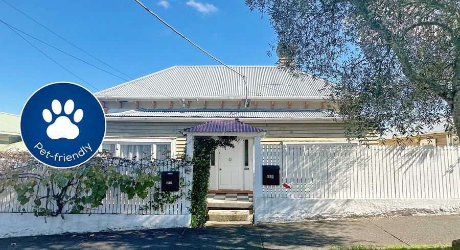  at 23B Commercial Road, Grey Lynn, Auckland City, Auckland
