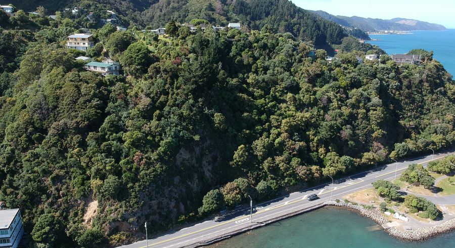  at 249 Marine Drive, Lowry Bay, Lower Hutt