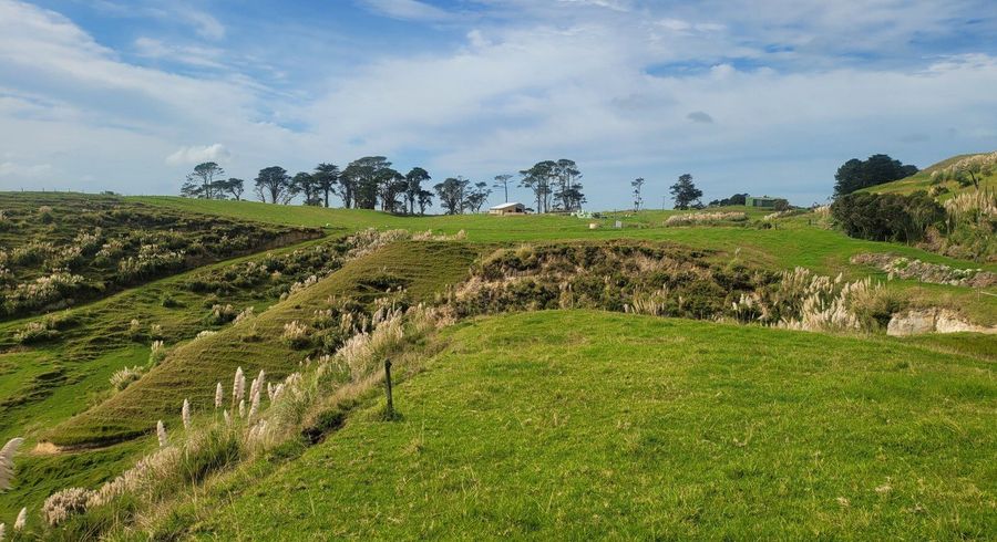  at 240 Pinaki  Road, Te Kopuru, Kaipara, Northland