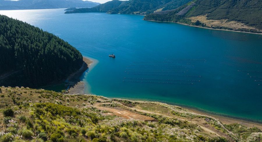 at 815 Manaroa Road, Marlborough Sounds, Marlborough, Marlborough