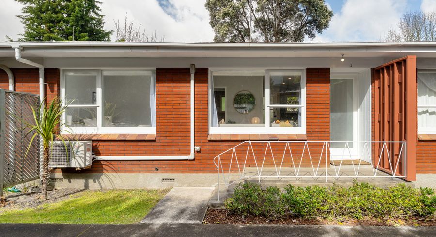  at 3/2 Henley Road, Mount Eden, Auckland City, Auckland